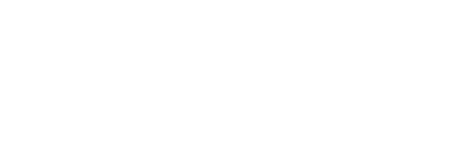 cicefulfillmentsas.com